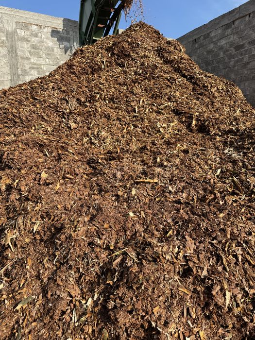 Kora drzewna sosnowa