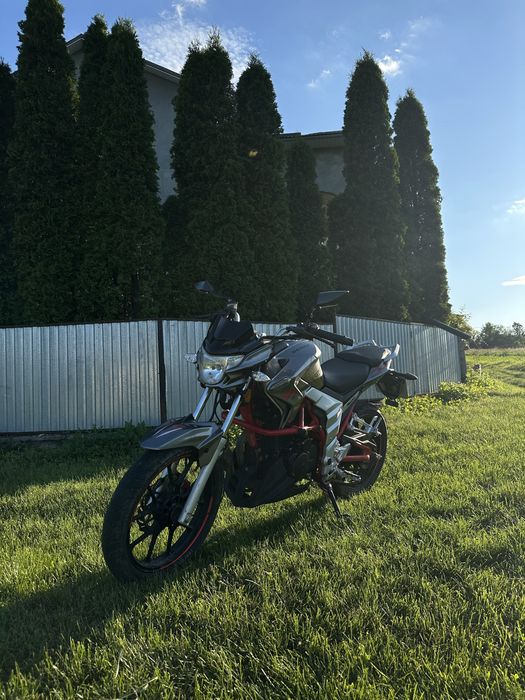 Senke raptor 250 торг