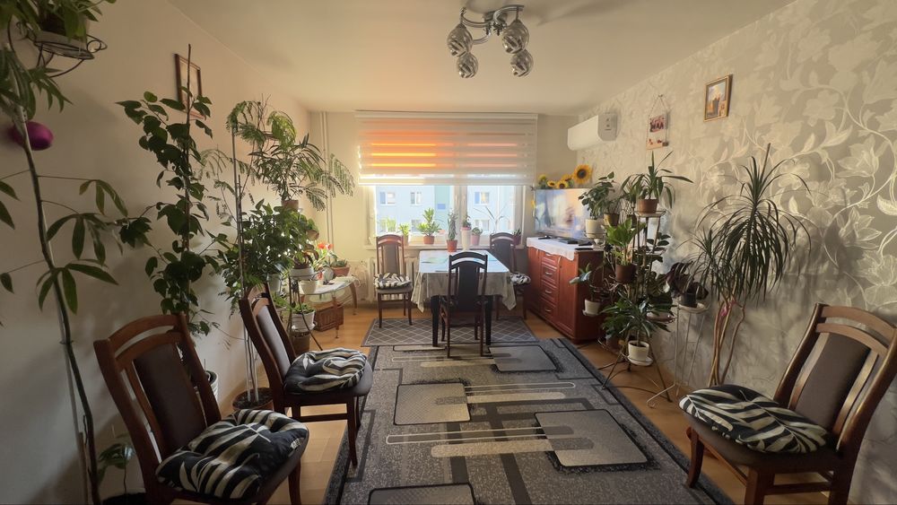 Mieszkanie na sprzedaż, 3 pokoje, 55 m², Staszów