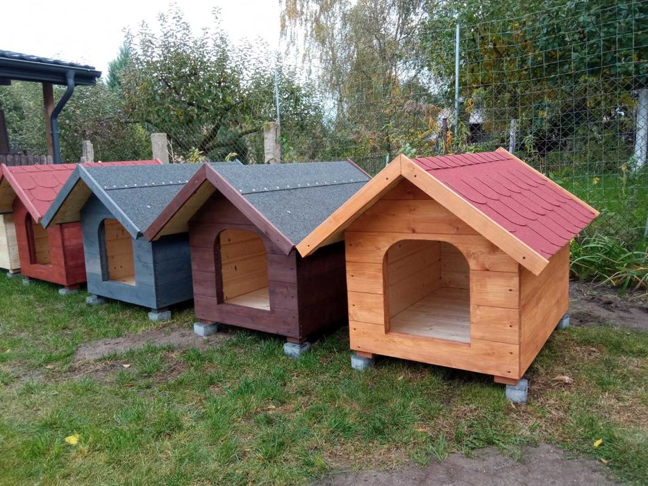 Duża nowa buda dla psa