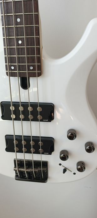 Yamaha TRBX 304, aktywna