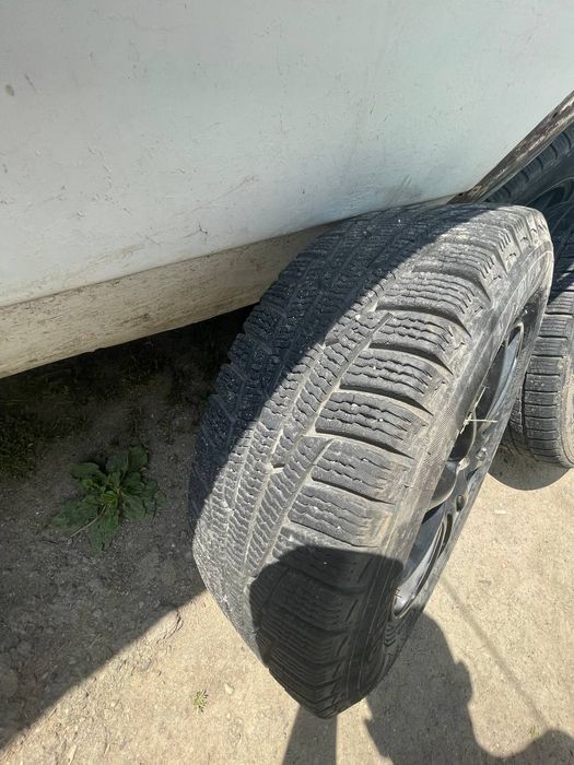 Продам тетани з гумою