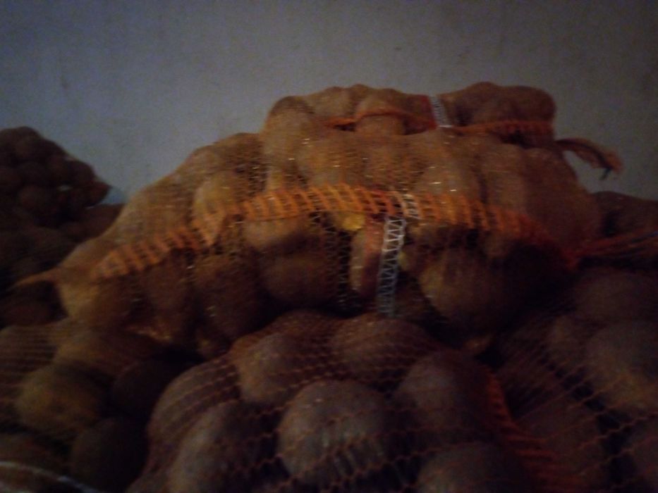 Ziemniaki jadalne  bellarosa vineta pakowane po 15 kg