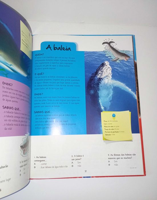 O Grande livro dos animais ( Selvagens)