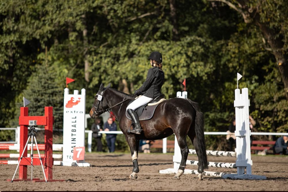 Klacz huculaska jazda w teren plac skoki