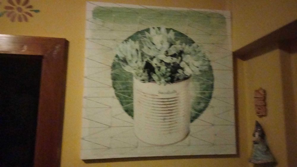 Telas de plantas e auculentas