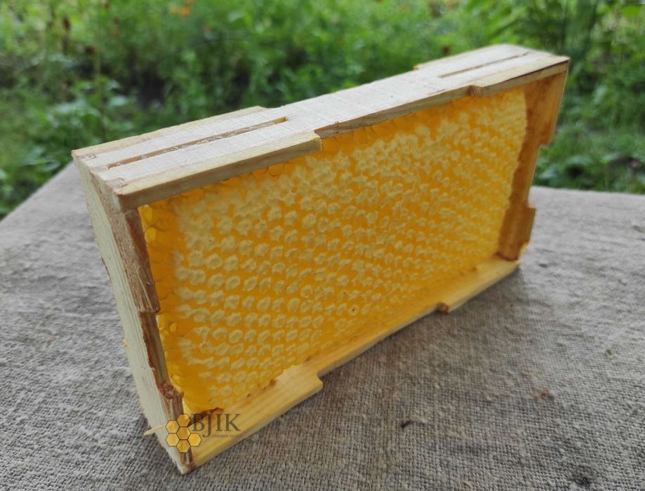 Мед в сотах / Сотовый мед / Стільниковий мед 2025