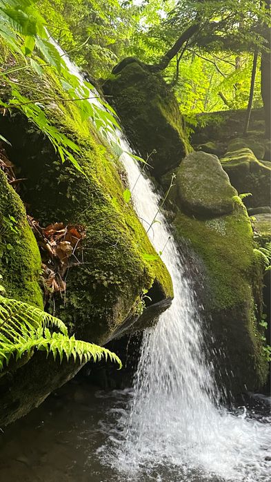 Apartamenty do wynajęcia w górach, majówka Zawoja Babia Góra Jałowiec