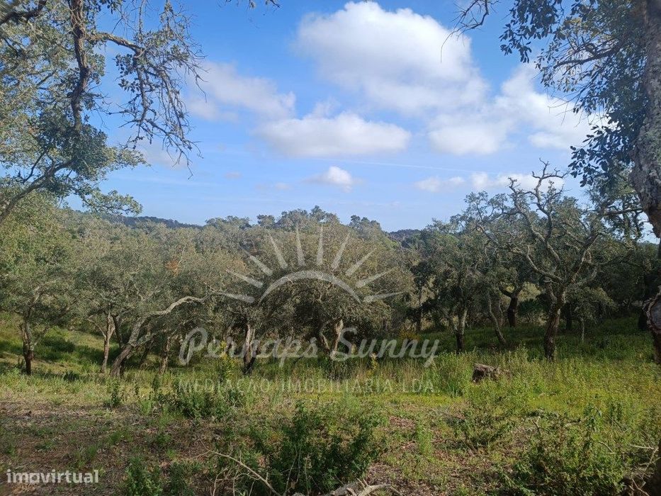 Terreno Rustico São Francisco da Serra