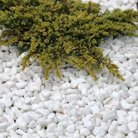 Галька грецька біла Тасос