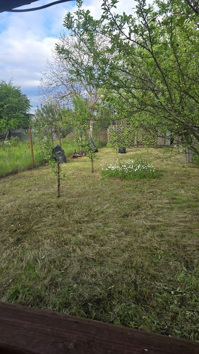 Косіння трави/Покіс трави/Видалення бур'янів /Очищення ділянок