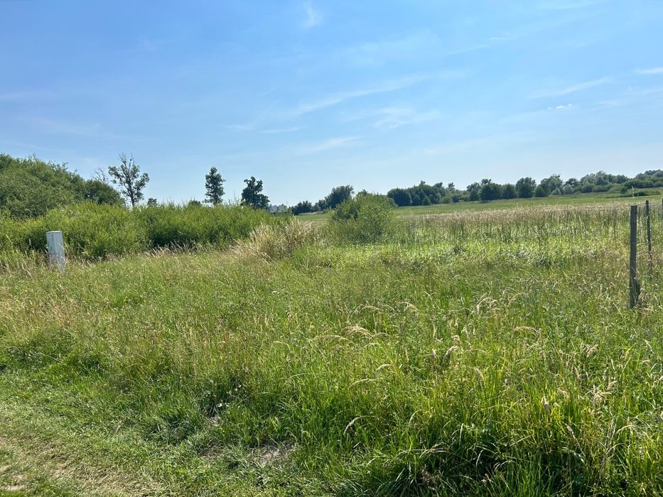 Działka 600m²  pod zabudowę - Widok 4