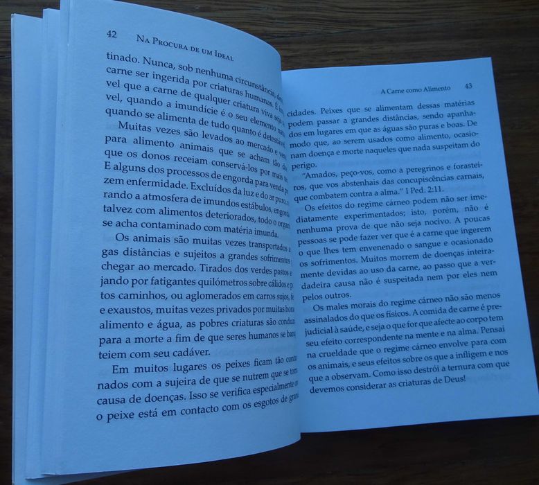Na Procura de Um Ideal de Ellen G. White