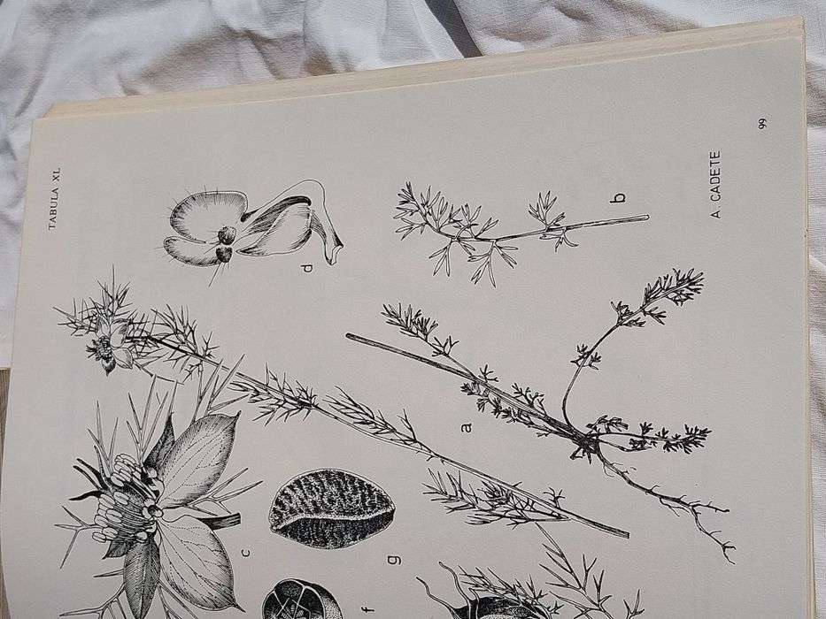 Livro - Catálogo das plantas infestantes das searas de trigo