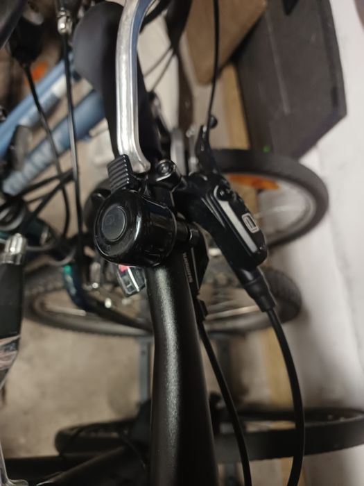 Rower Specialized