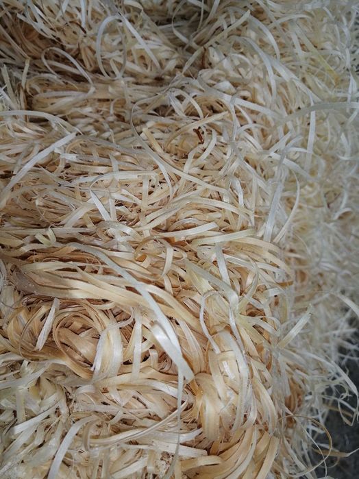 Wełna drzewna - SUPER cena