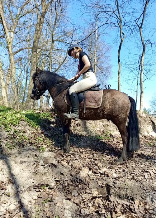 Kuc, KN, pod siodło