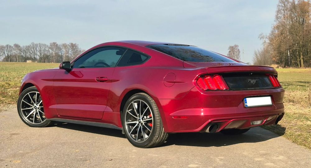 Ford Mustang Mustang 2014 2.3 EcoBoost 317 KM, niski przebieg, głośny jak trzeba