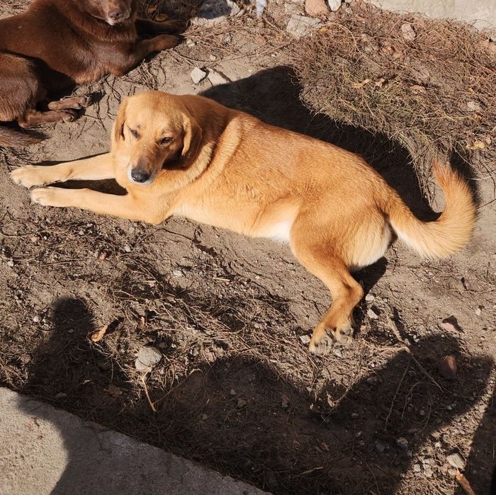 Nora szuka dalej swojej miłości.