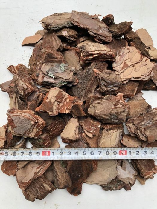 Кора соснова від виробника