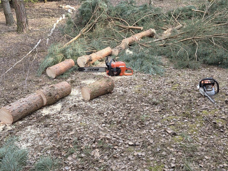 Wycinka Drzew, Rębak i Wysokie Żywopłoty – Szybkie Terminy!