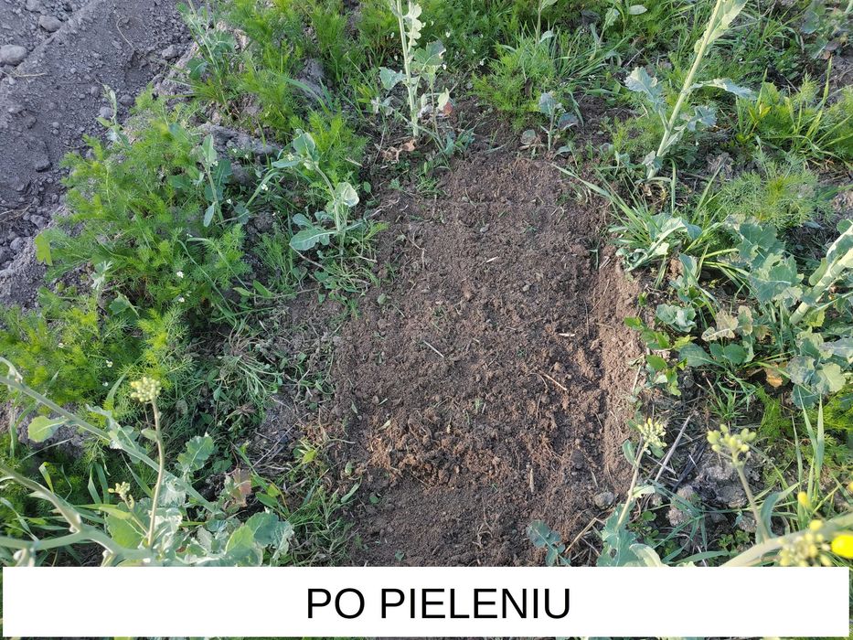 Pielnik, opielacz, kultywator ręczny - 30cm