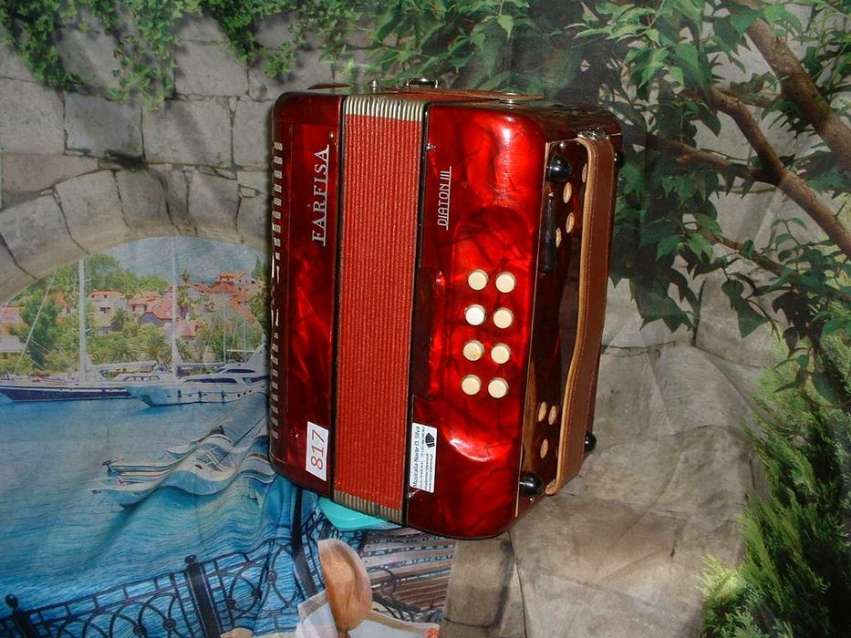 Concertinas a venda N.817 Penedono • OLX Portugal