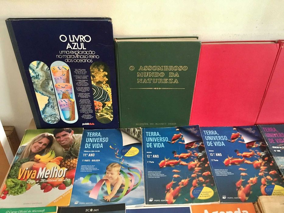 Lote de 38 livros