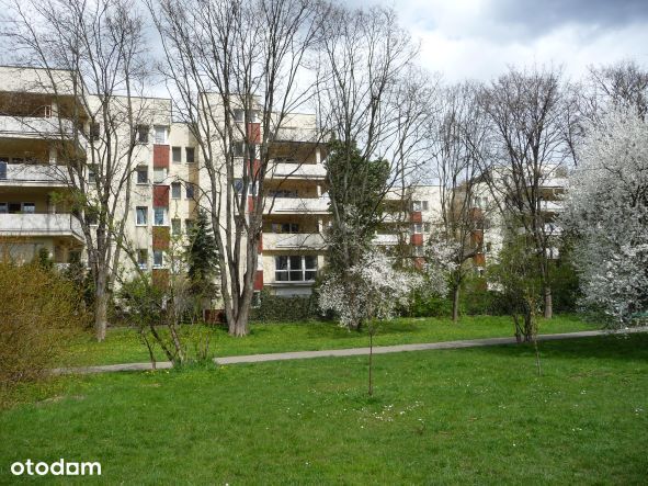 Do wynajęcia apartament 146m2 Park Skaryszewski