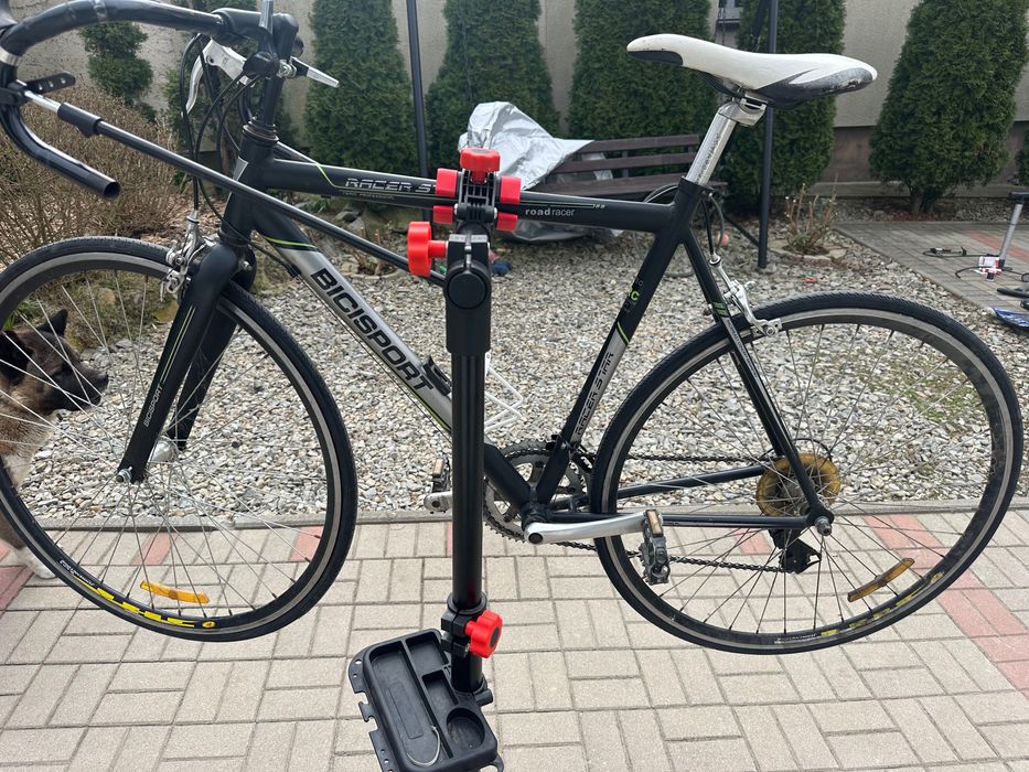 Kolarzówka bicisport