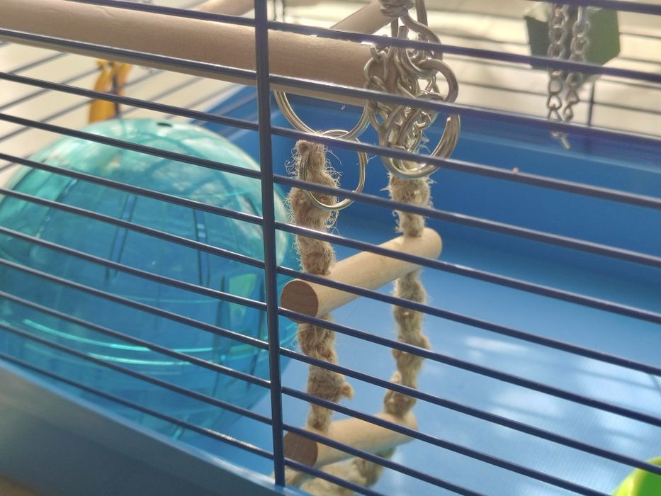 Klatka dla chomika+ kula