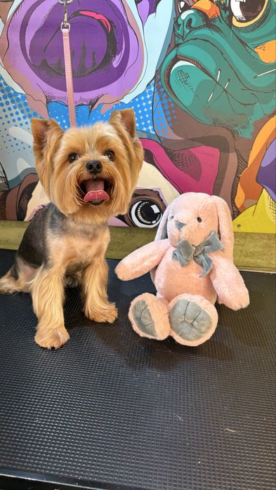 Моделі для Академії Грумінгу. Палац спорту