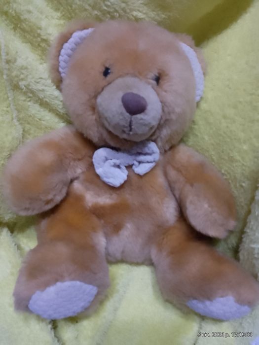 М'які ведмеді, іграшки