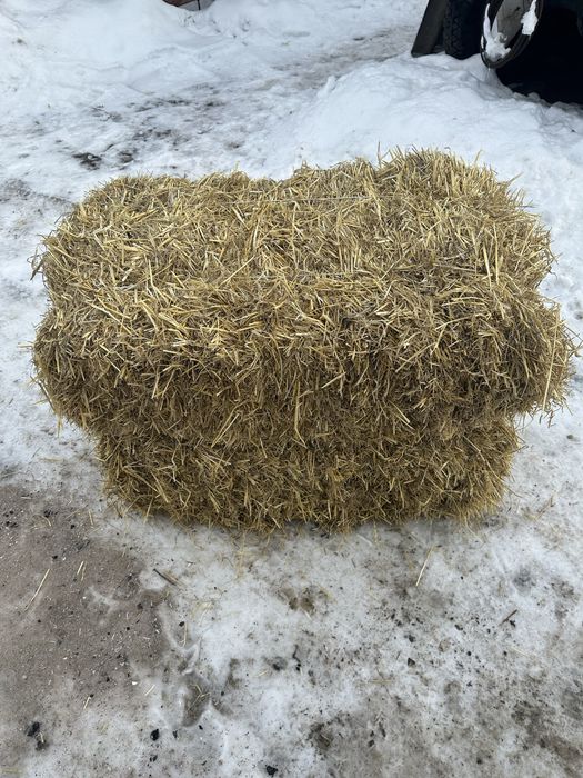 Солома ячнева в тюках