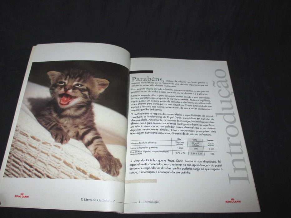 O Livro do Gatinho