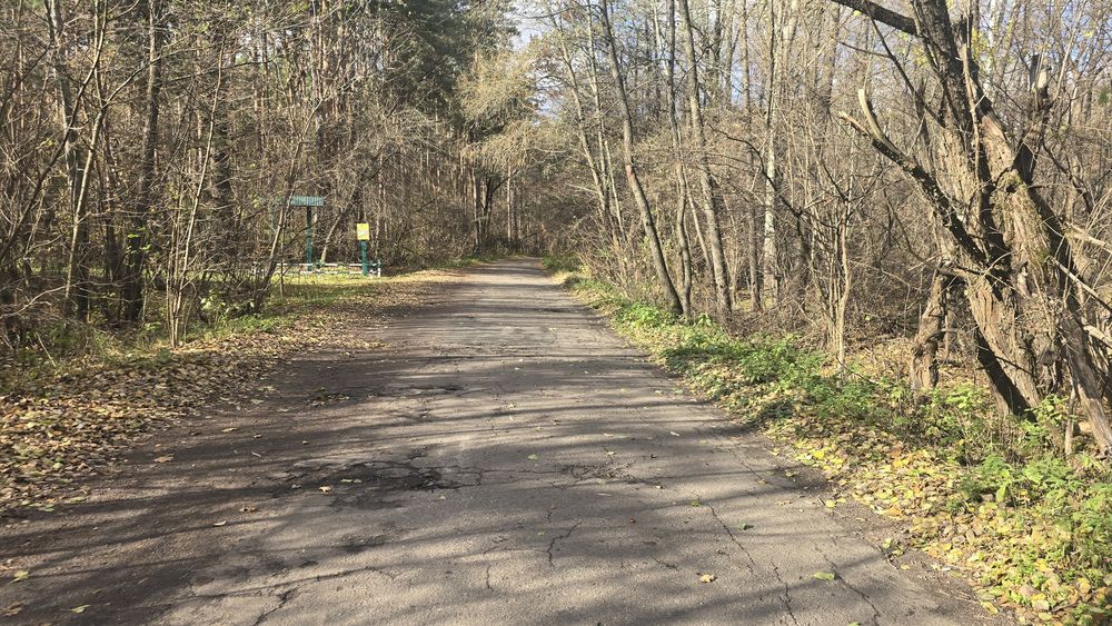 Продаж ділянки с. Бистри, крайня до лісу (26140646)