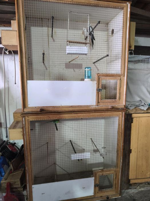 Caturras e viveiros (preços no anuncio)