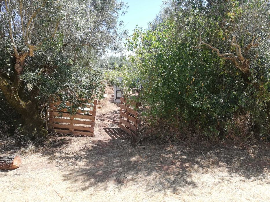 "Terreno Rústico à Venda – Tomar, em Santarém"