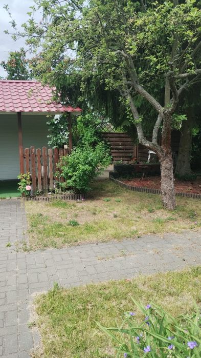 Działka ROD na sprzedaz - Widok 3