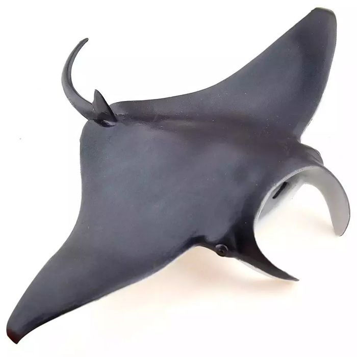 Manta. Nowy Produkt