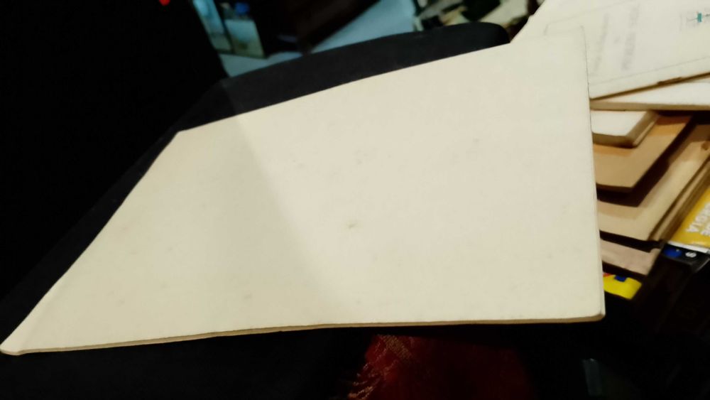 A Missão Social do Engenheiro Junto de O Capital - João Carlos Alves