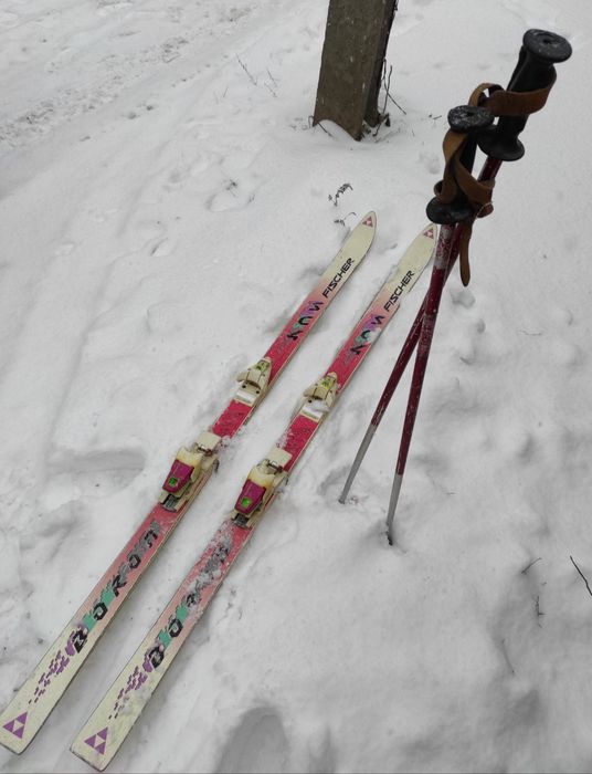 Лыжи FISCHER Boron, крепление Salomon и лыжные палки