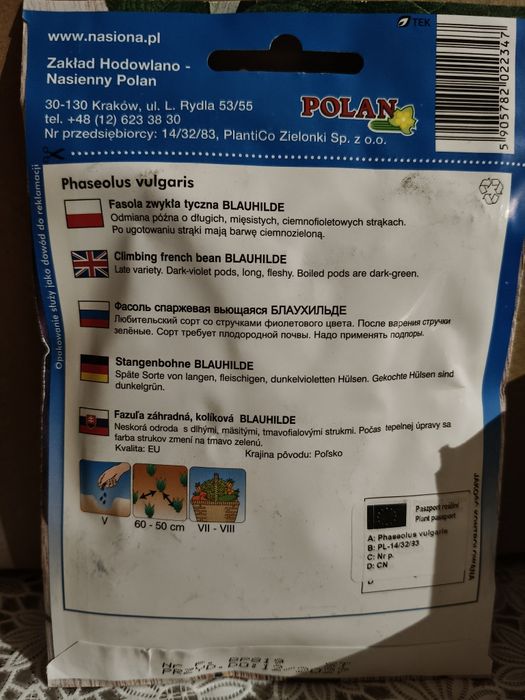 Fasola tyczna Blauhilde