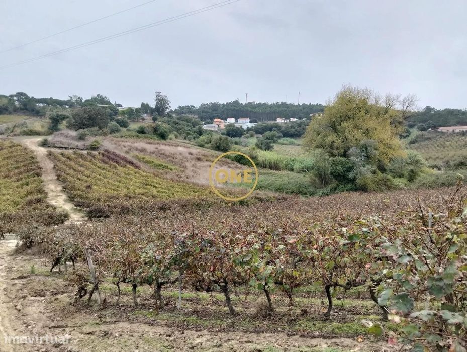 Terreno Rústico com 3312 m2 - Sobral da Abelheira e Azueira