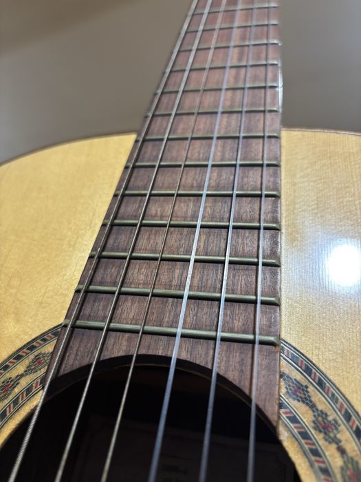 Viola classica Giannini