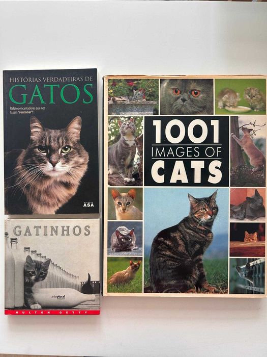 Amantes de Gatos – 12 livros