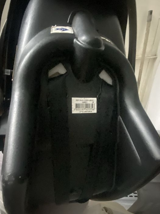 Ovo de bebe da zoppy