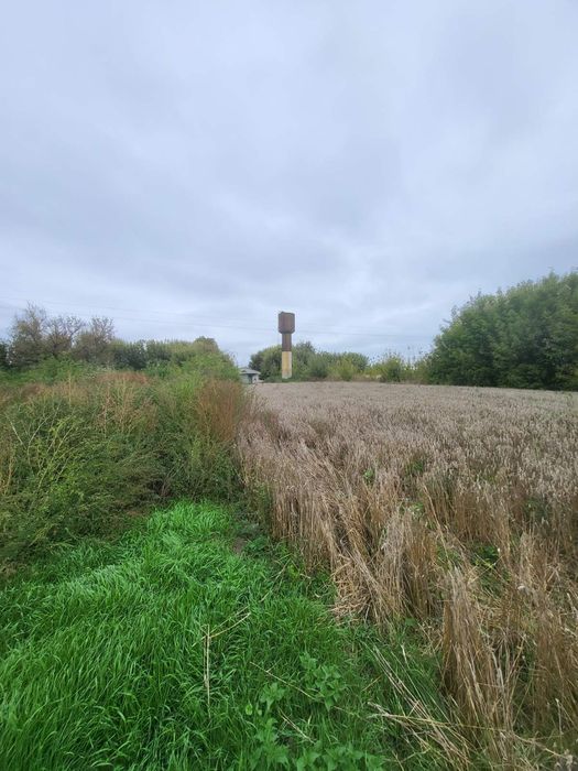 Продаж ферм. господарства 500 м.кв.