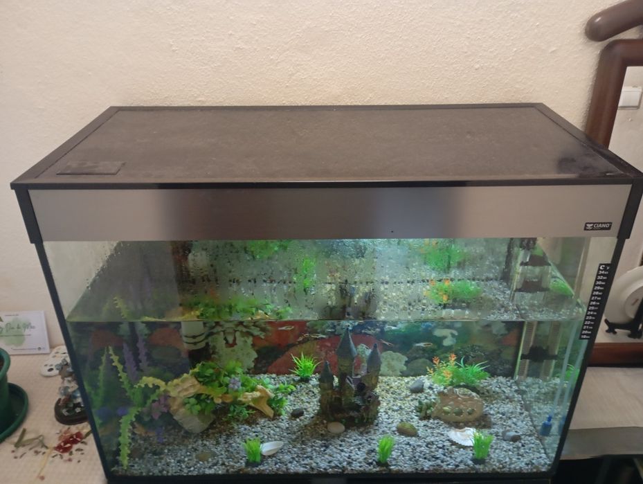 Aquário grande Ciano 145L + Motor limpeza EHEIM