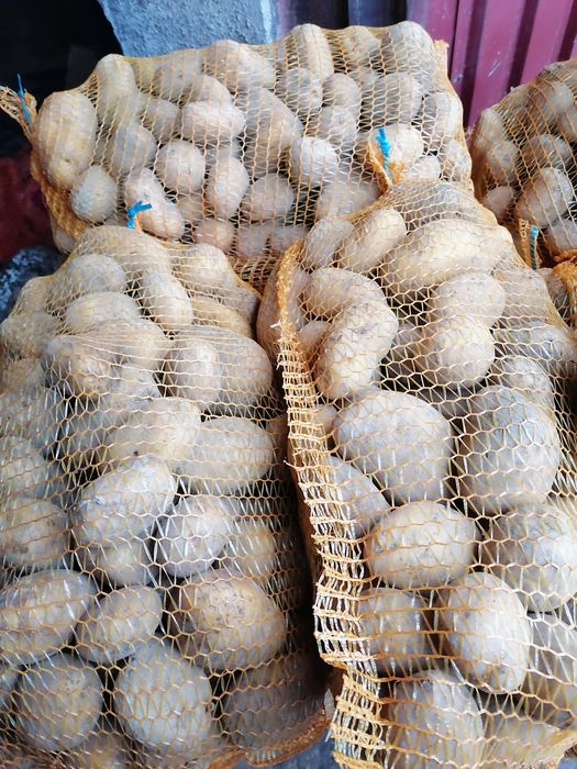 Ziemniaki worek 15 kilo wysyłka inpost prosto od rolnika